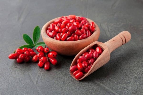 Revitalize Your Wellness Journey: Understanding Berberine Benefits