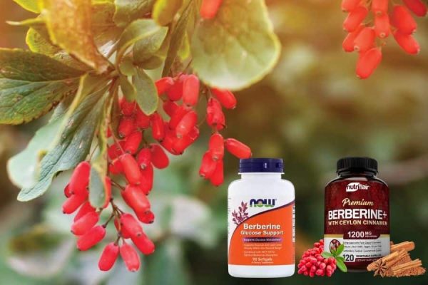 Berberine Breakthrough: Transforming Your Cholesterol Levels