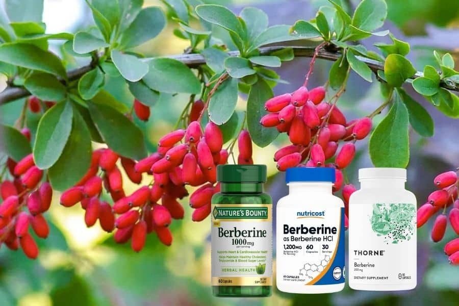 Berberine