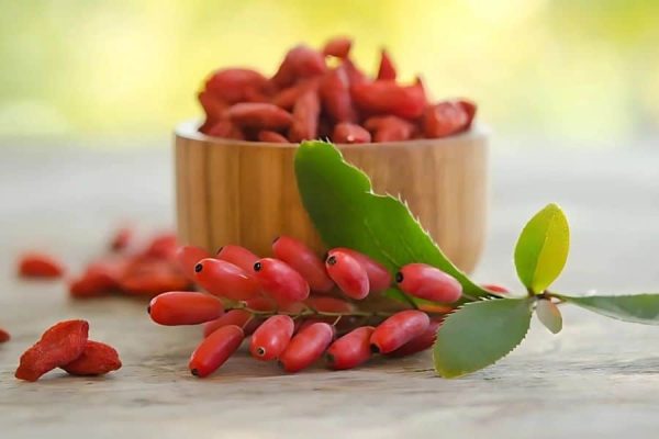 Understanding Berberine and PCOS Connection