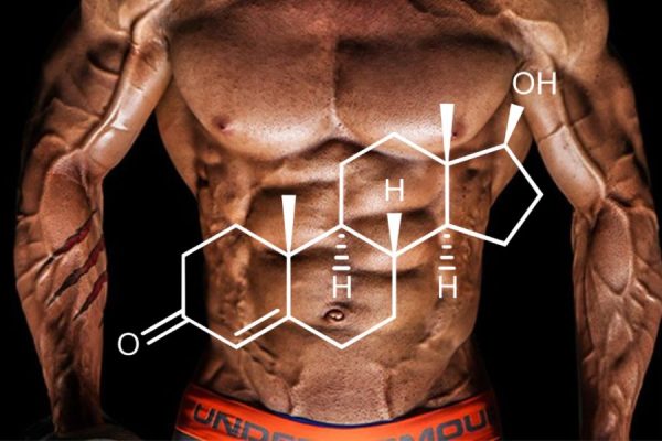 Transform Your Body: Powerful Testosterone Booster Reviews