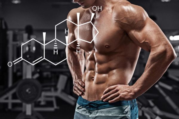 Enhance Your Workout with the Best Testosterone Booster Supplements