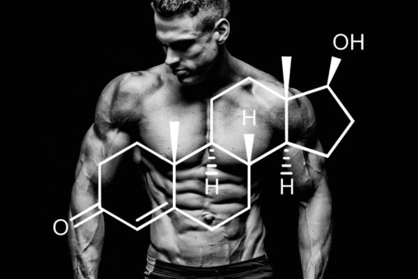 Empower Yourself: Insider Insights on Testosterone Supplement Side Effects