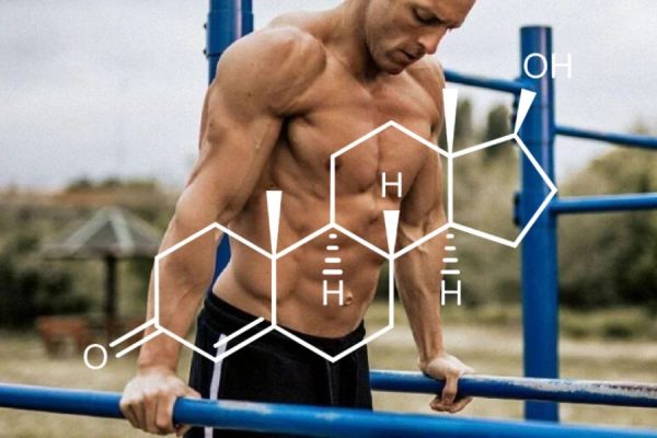 Unlock Your Potential: Exploring the Best Testosterone Boosters