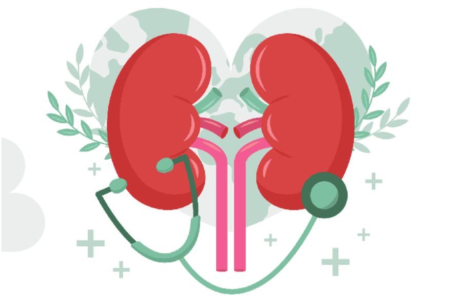 Kidney Health