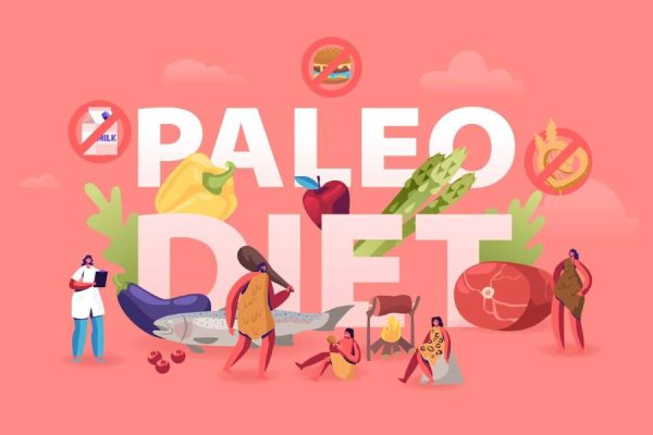 Quick and Flavorful Paleo Diet Lunch Recipes